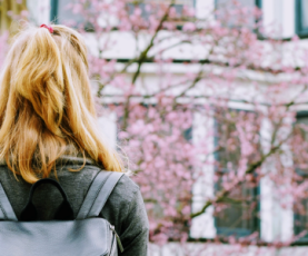 školovanje u inostranstvu