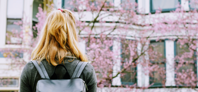 školovanje u inostranstvu